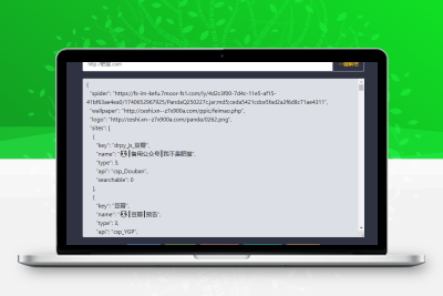 TVbox接口健康查询工具1.0