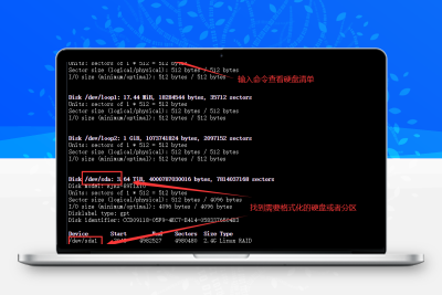 UnRaid下命令格式化硬盘