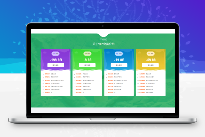 比较漂亮的VIP介绍页面源码 html单页面源码