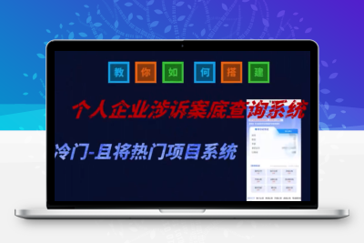 无授权个人企业涉诉案底婚姻查询系统搭建视频