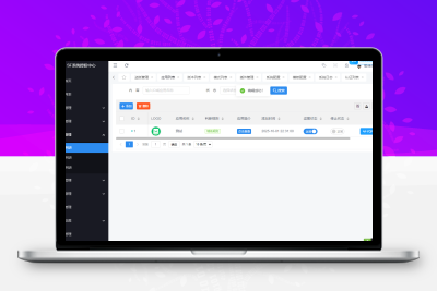 功能强大的最新版SF域名授权系统源码v5.2 – 全开源无加密